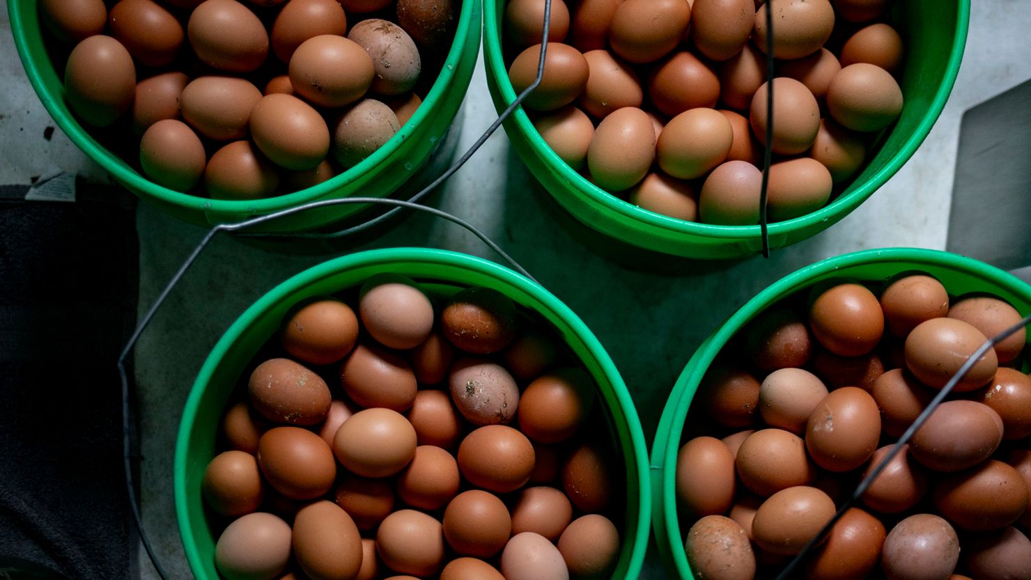 Eggs collected from ISA Brown chickens at an egg farm in Mason, Michigan, US, on Monday, March 3.