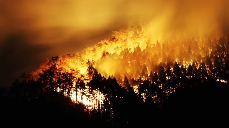 A forest fire burns in Ofunato, Iwate prefecture, Japan on March 3, 2025.