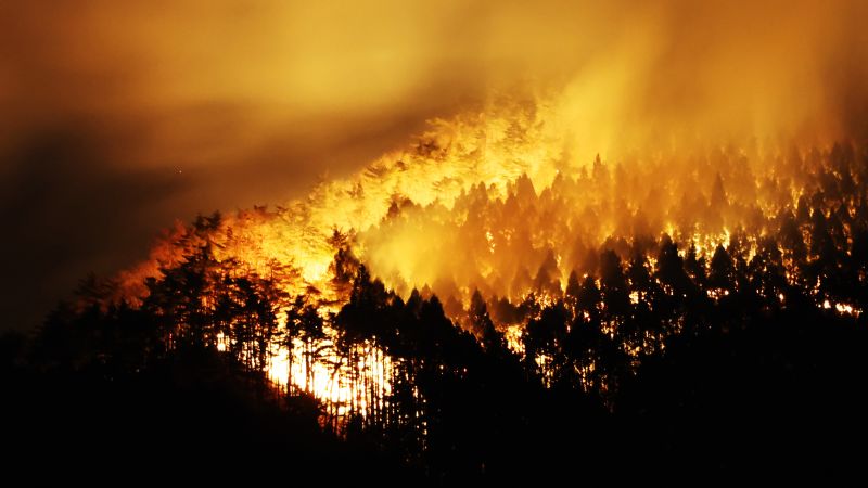 Japan fights forest fire that has forced 1,200 people to evacuate