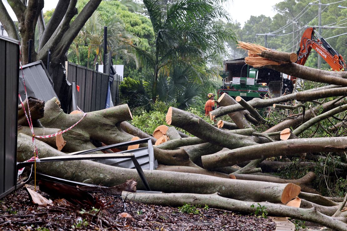 Even before Alfred's arrival, strong winds had toppled trees on the Gold Coast, March 7, 2025.