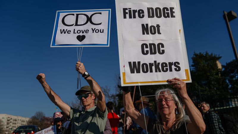 https://media.cnn.com/api/v1/images/stellar/prod/gettyimages-2204187813.jpg?c=16x9&q=w_800,c_fill