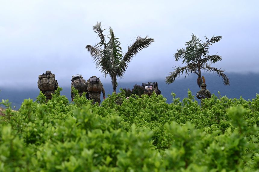 Soldiers patrol among coca plantations near El Plateado, Colombia, on March 8.