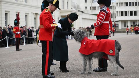 LONDON, ENGLAND - MARCH 17: Catherine, Princess of Wales meets regimental mascot Turlough Mór, Irish Wolfhound and his handler Drummer Joseph Aldridge during the 2025 Irish Guards' St. Patrick's Day Parade at Wellington Barracks on March 17, 2025 in London, England. Catherine, Princess of Wales attends the parade as Colonel of the Regiment. (Photo by  Eddie Mulholland - WPA Pool/Getty Images)
