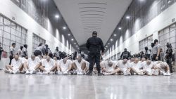 GettyImages-2205557769.jpg