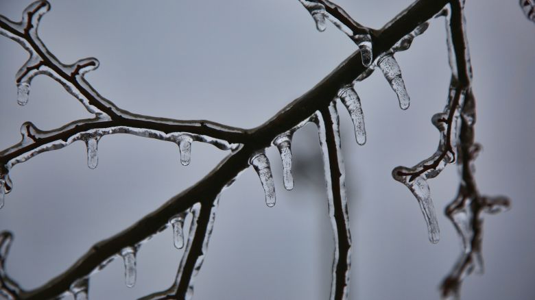 Branches of a tree are encased in ice during an ice storm caused by freezing rain in Toronto, Ontario, Canada, on March 30, 2025. Environment Canada issues a 'freezing rain warning' for Toronto early Sunday as the city expects to see ice build-up between three to five millimeters. Over 220,000 customers are without power in Ontario due to the ice storm. Hydro One, the provincial power utility, indicates that the outages are concentrated in central Ontario, from Tobermory and Gravenhurst to Peterborough and Kawartha Lakes. (Photo by Creative Touch Imaging Ltd./NurPhoto via Getty Images)
