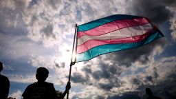 A transgender rights activist holds a flag during the Trans Day Of Visibility rally on the National Mall on March 31, in Washington DC.