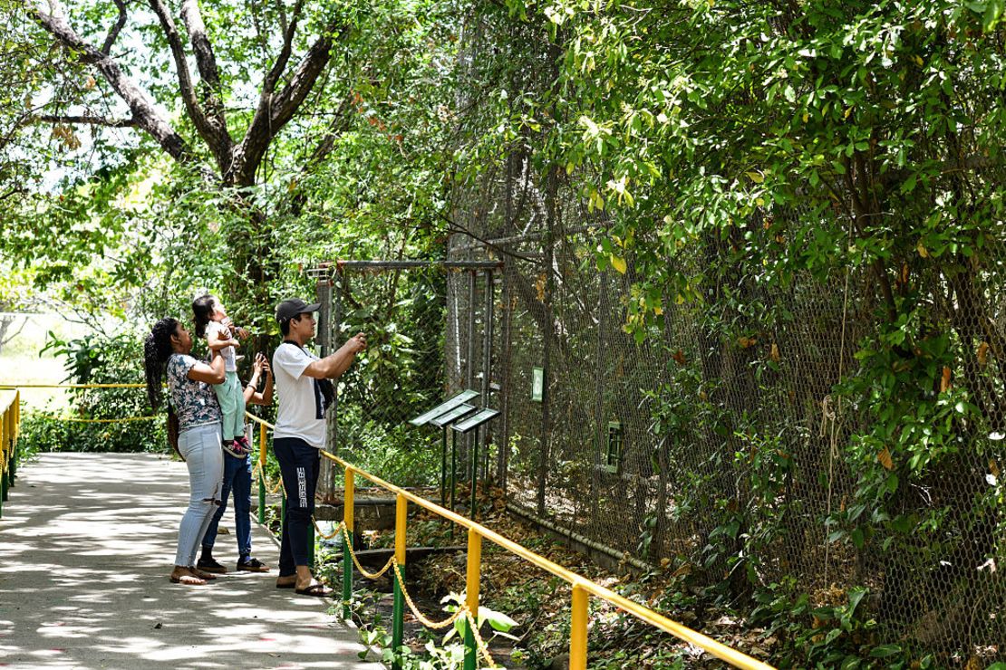 Turistas observan animales en el Centro de Rescate y Santuario Las Pumas en Guanacaste, Costa Rica, el 17 de abril de 2025.