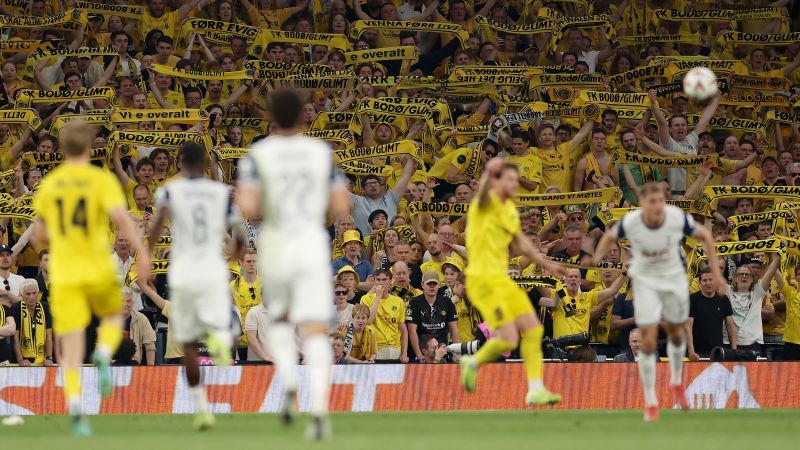 Bodø/Glimt vs Tottenham: Norwegian man trades 11 pounds of fish for ticket to Europa League semifinal