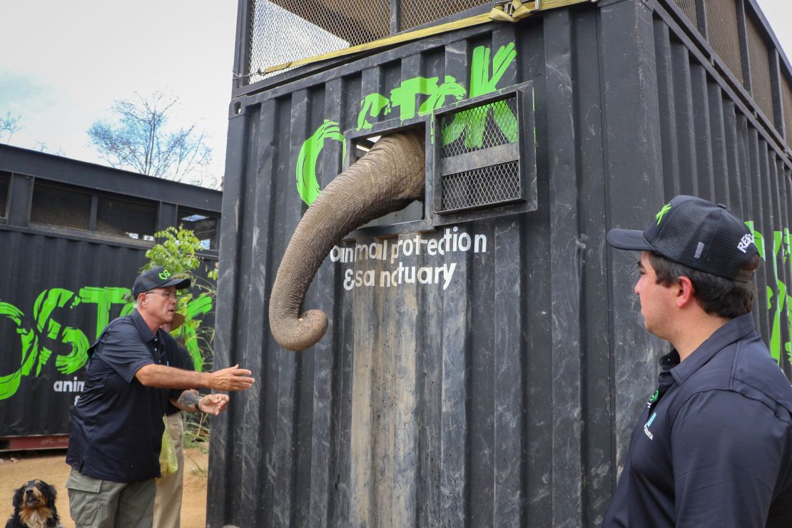 A keeper feeds an elephant as it is relocated to a ranch on the coast from Culiacan, Sinaloa state, Mexico, on May 20.