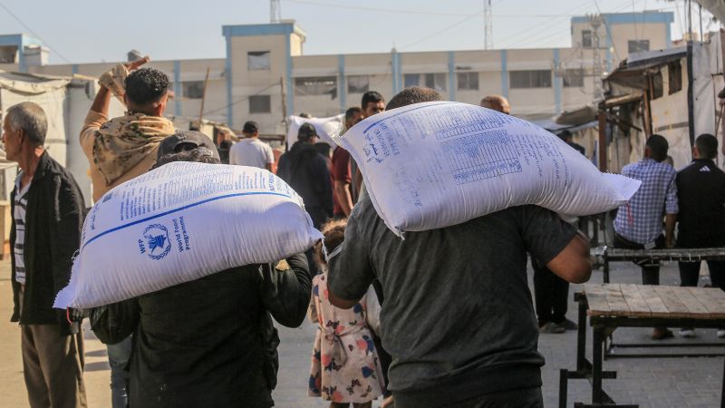 Nearly 80 aid trucks carrying food ransacked in Gaza Saturday, says WFP as famine worsens