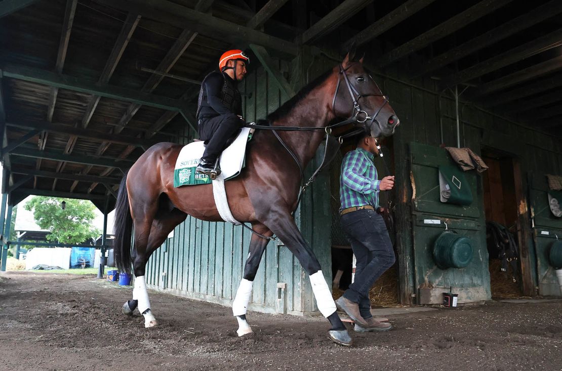 The Sovereignty, the winner of this year's Kentucky Derby, is one of the Belmont Stakes' favorites.