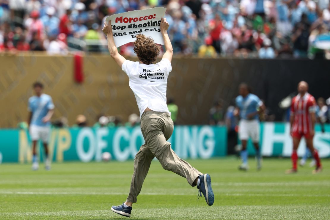 A PETA activist invades the pitch holding a sign that reads "Morocco, stop shooting dogs and cats" during the Club World Cup match between Manchester City and Morocco's Wydad AC at Lincoln Financial Field in Philadelphia on June 18.