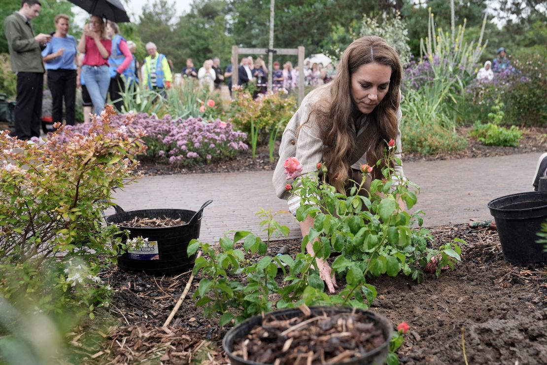 The Princess of Wales planted a rose during her visit to the Wellbeing Garden.