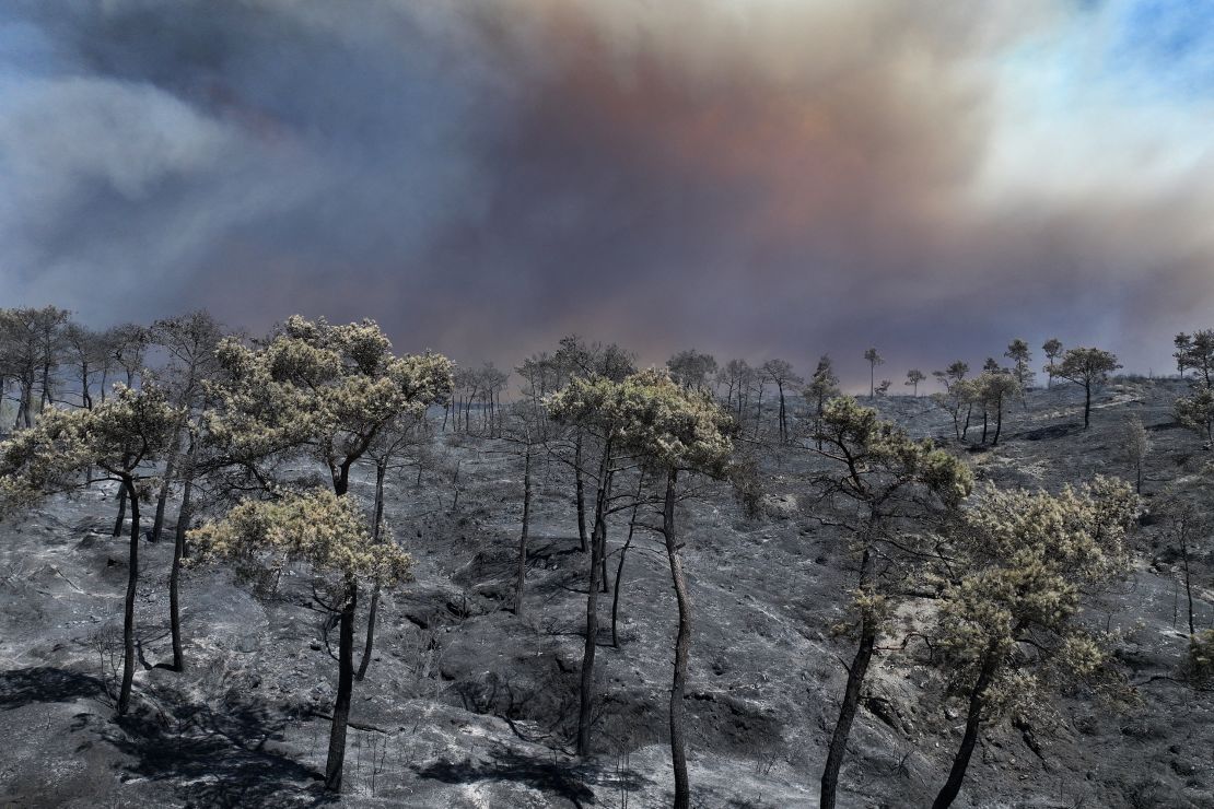 Smoke billowing from a forest fire in the coastal Syrian province of Latakia on Saturday.