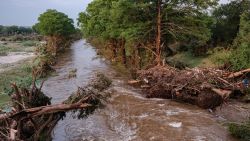 CENTER POINT, TEXAS - JULY 05: Damaged trees and debris lay on the bank Guadalupe River on July 5, 2025 in Center Point, Texas. Heavy rainfall caused flooding along the Guadalupe River in central Texas with multiple fatalities reported. (Photo by Jim Vondruska/Getty Images)