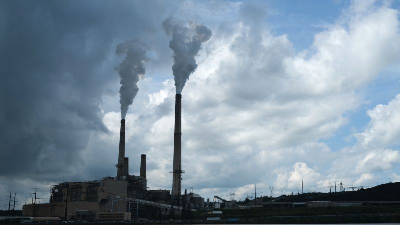 https://media.cnn.com/api/v1/images/stellar/prod/gettyimages-2224533087.jpg?c=16x9&q=w_800,c_fill