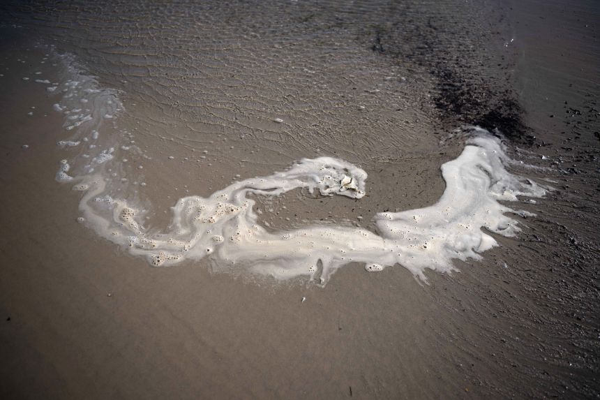 A toxic algal bloom washes dead and dying sea creatures onto Tennyson Beach in Adelaide, Australia, on July 11, 2025.