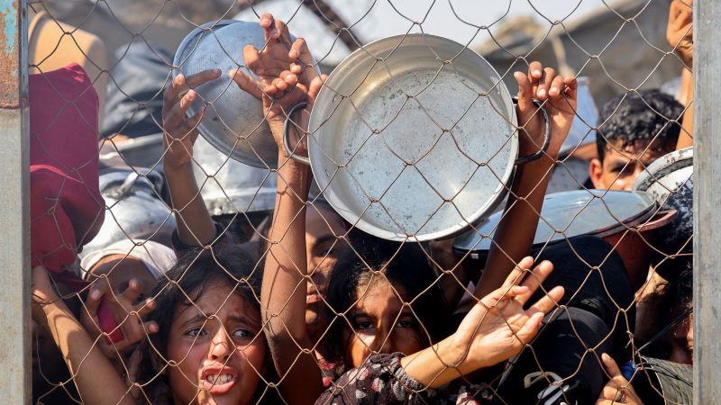 ‘Worst-case state of affairs of famine’ is unfolding in Gaza, UN-backed meals safety initiative says | The Gentleman Report