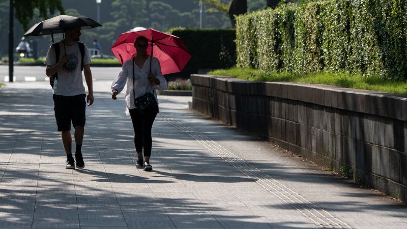 Japan sets record high temperatures prompting worries over rice crops Japan sets record high temperatures prompting worries over rice crops