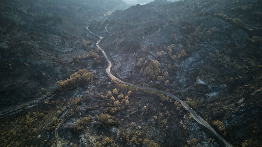 The charred landscape in the aftermath of a wildfire on August 9, 2025 in Fontjoncouse, France. Massive wildfires raged across France's southern region of Aude, killing one person.