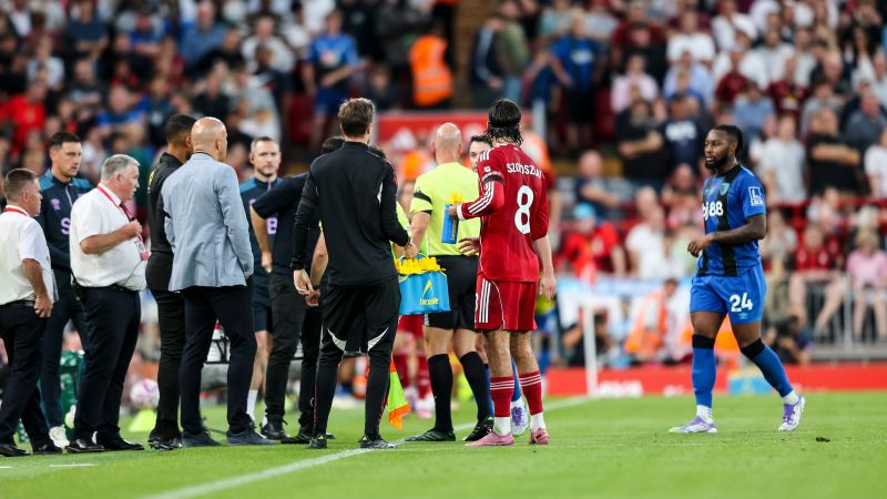 Man arrested after Premier League opener halted due to alleged racist abuse | CNN