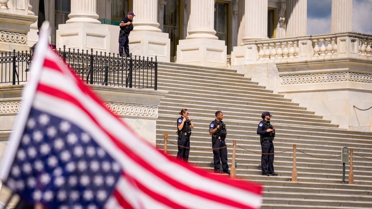 WASHINGTON, DC - SEPTEMBER 2: U.S. Capitol police officers stand guard on the Senate Steps as a group of protesters march at the U.S. Capitol Building on Capitol Hill on September 2, 2025 in Washington, DC. Activists are staging multiple protests on Capitol Hill and outside the White House as lawmakers return from summer recess. (Photo by Andrew Harnik/Getty Images)
