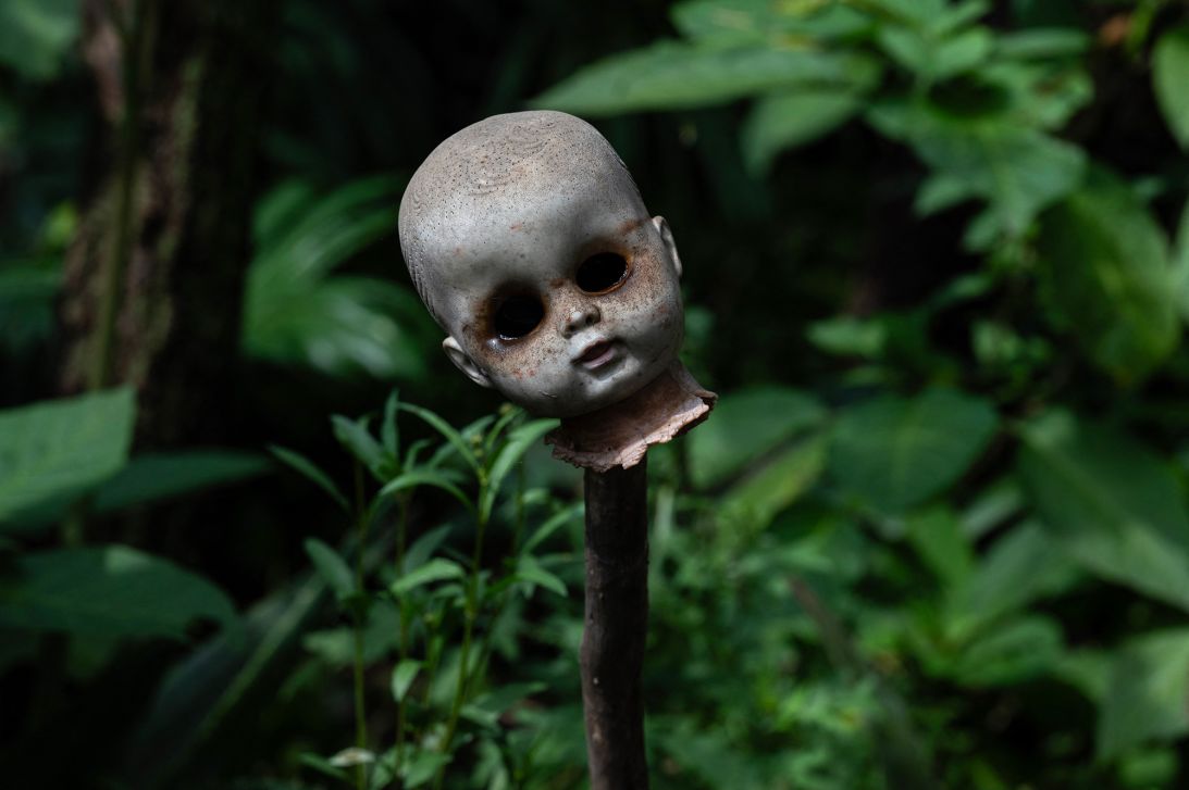 A creepy old doll's head hangs on a stick on Isla de las Muñecas in Xochimilco, Mexico. The macabre Island of the Dolls in Mexico City frightens many, but has fascinated celebrity visitors.