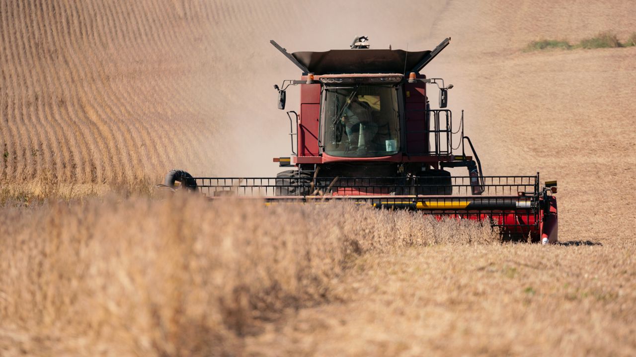 China, the largest buyer of American soybeans, halted purchases in May, threatening the income of hundreds of thousands of farmers.