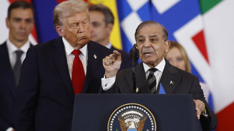 With rare earths, deft diplomacy (and ample flattery), Pakistan shows how to deal with Trump 2.0 With rare earths, deft diplomacy (and ample flattery), Pakistan shows how to deal with Trump 2.0