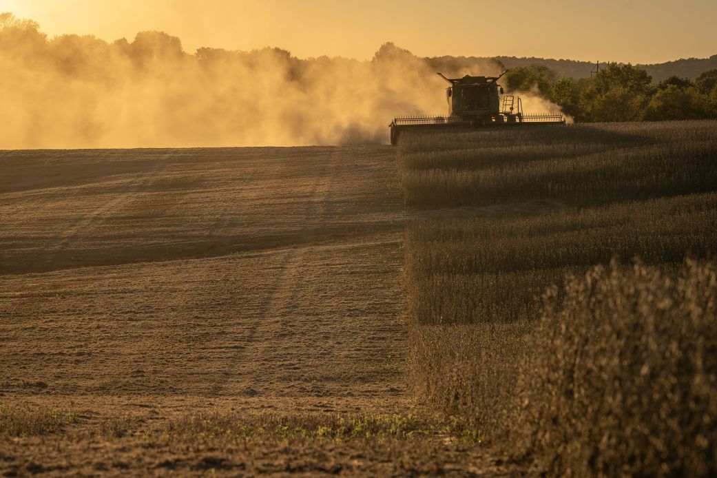 A combine harvests soybeans in Marion, Kentucky, on October 14.