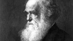 circa 1880: Charles Darwin (1809 - 1882), British scientist, who laid the foundation of modern evolutionary theory. Original Publication: From a painting by Ouless.