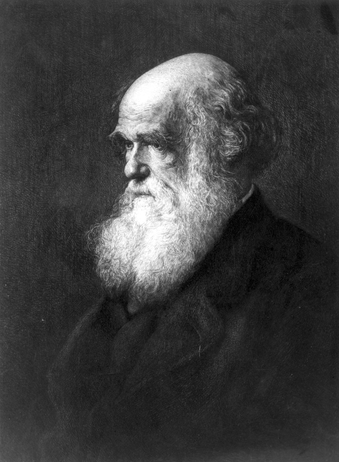Charles Darwin is depicted circa 1880 in a painting by Walter William Ouless.
