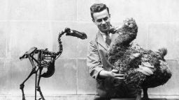 4th March 1938: A Dodo skeleton opposite a reconstructed model of the extinct bird in the National Museum of Wales, Cardiff.