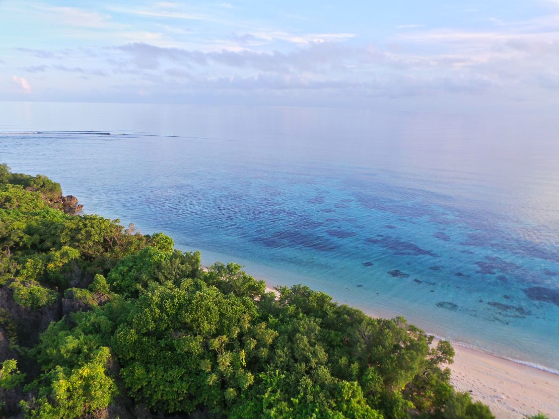 Apo Island features mangroves and beach vegetation, important habitats for local wildlife.