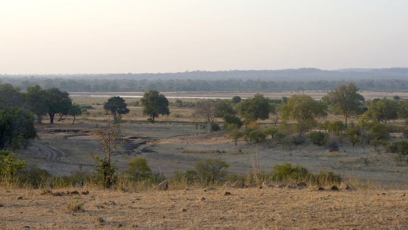 Elephant kills two female tourists from the UK and New Zealand in Zambian national park