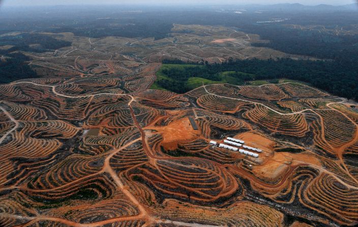 It is estimated <a href="https://www.researchgate.net/publication/322254458_Forest_loss_and_Borneo's_climate" target="_blank">that at least 10%</a> of Borneo is now taken up by industrial palm oil and logging operations. This photograph taken on February 24, 2014, during an aerial survey mission by Greenpeace shows cleared trees in a forest located in the concession of Karya Makmur Abadi, which was being developed for a palm oil plantation.