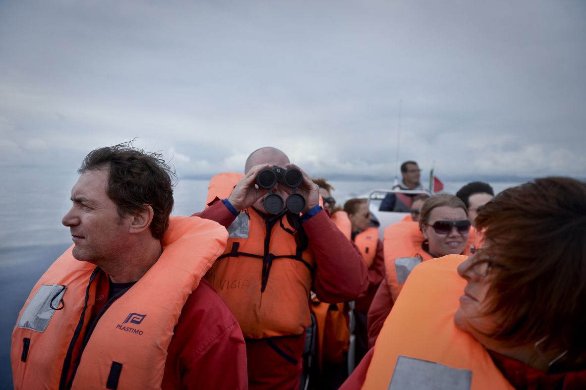 <strong>Whale-watching: </strong>The Portuguese archipelago of Azores is one of the world's best places to see whales and dolphins.