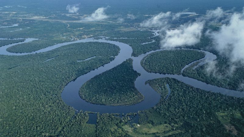Armed assailants rob tourists, drain bank accounts on Peruvian Amazon boat trip