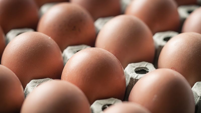Salmonella outbreak linked to eggs sickens dozens of people across 7 states | CNN