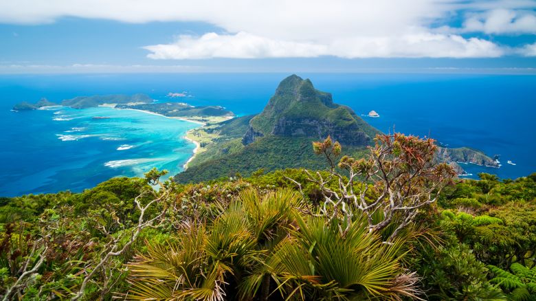 View north over Lord Howe Island, New South Wales, Australia, from the summit of Mt Gower the highest point on the island.
