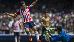 MEXICO CITY, MEXICO - OCTOBER 04:  Omar Bravo of Chivas attempts to score against Alejandro Palacios goalkeeper of Pumas during the 12th round match between Pumas UNAM and Chivas as part of the Apertura 2015 Liga MX at Olimpico Universitario Stadium on October 04, 2015 in Mexico City, Mexico. (Photo by Miguel Tovar/LatinContent via Getty Images)