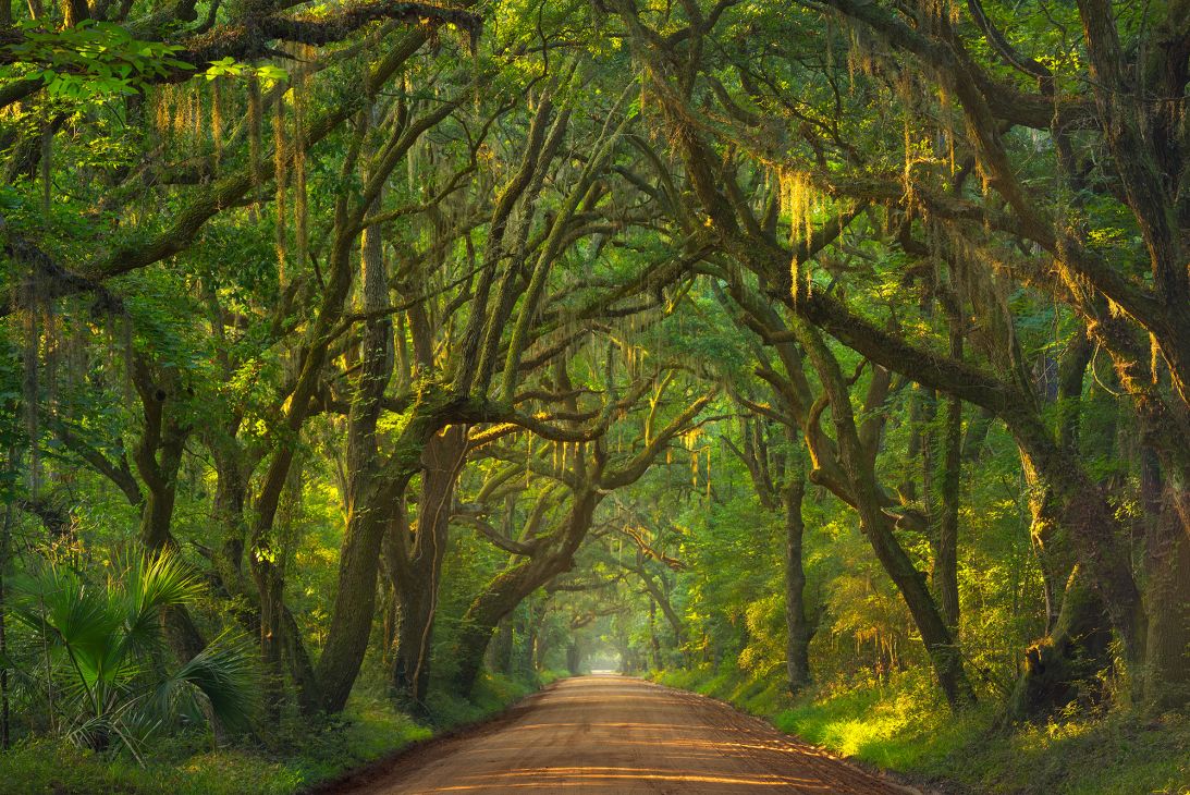 Edisto Island offers Sea Island charm with lush live oaks and Spanish moss.