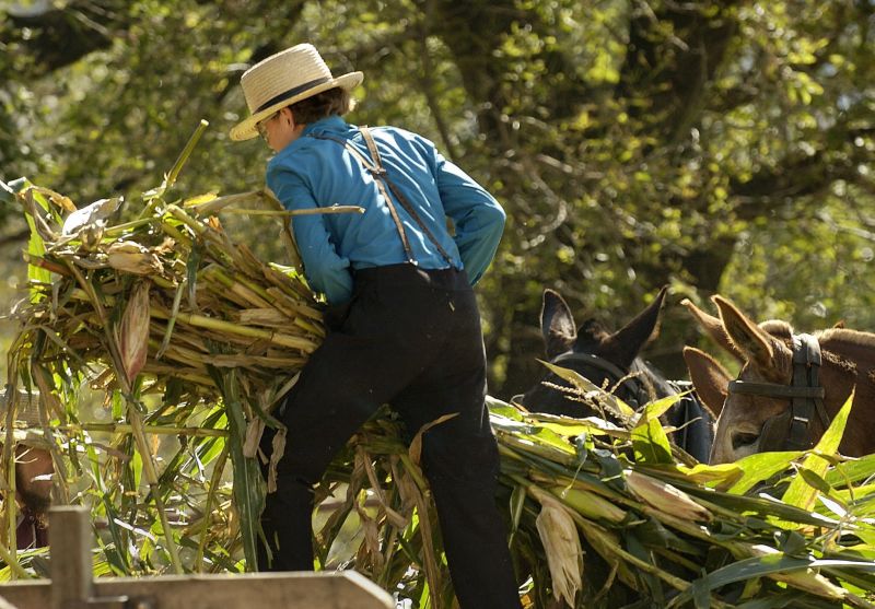 Understanding The Unique Tradition Of Rumspringa Among Amish Youth