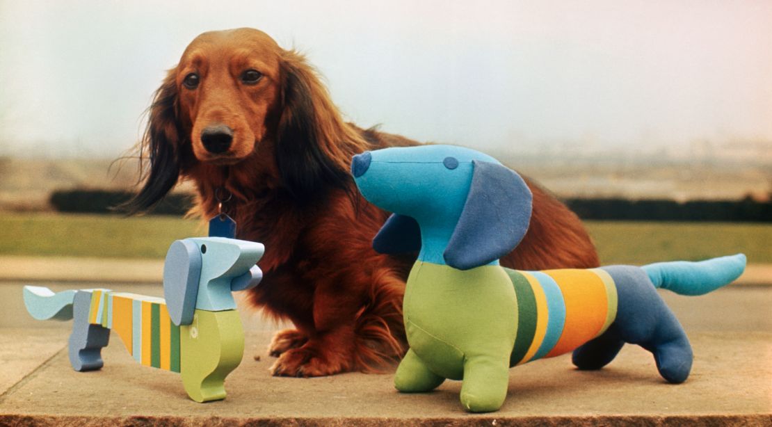 Waldi, the official mascot of the 1972 Olympics, was modeled on a dachshund called Fritz (the real dog in the middle).