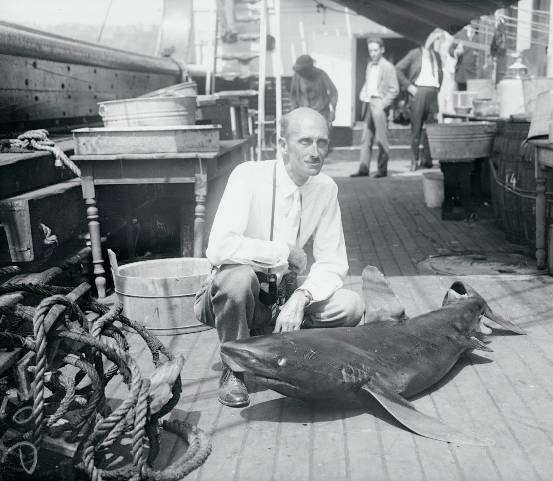 In this image from July 1925, naturalist William Beebe poses with a sand shark, one of thousands of fish he "collected" over a six-month journey across oceans with the New York Zoological Society.
