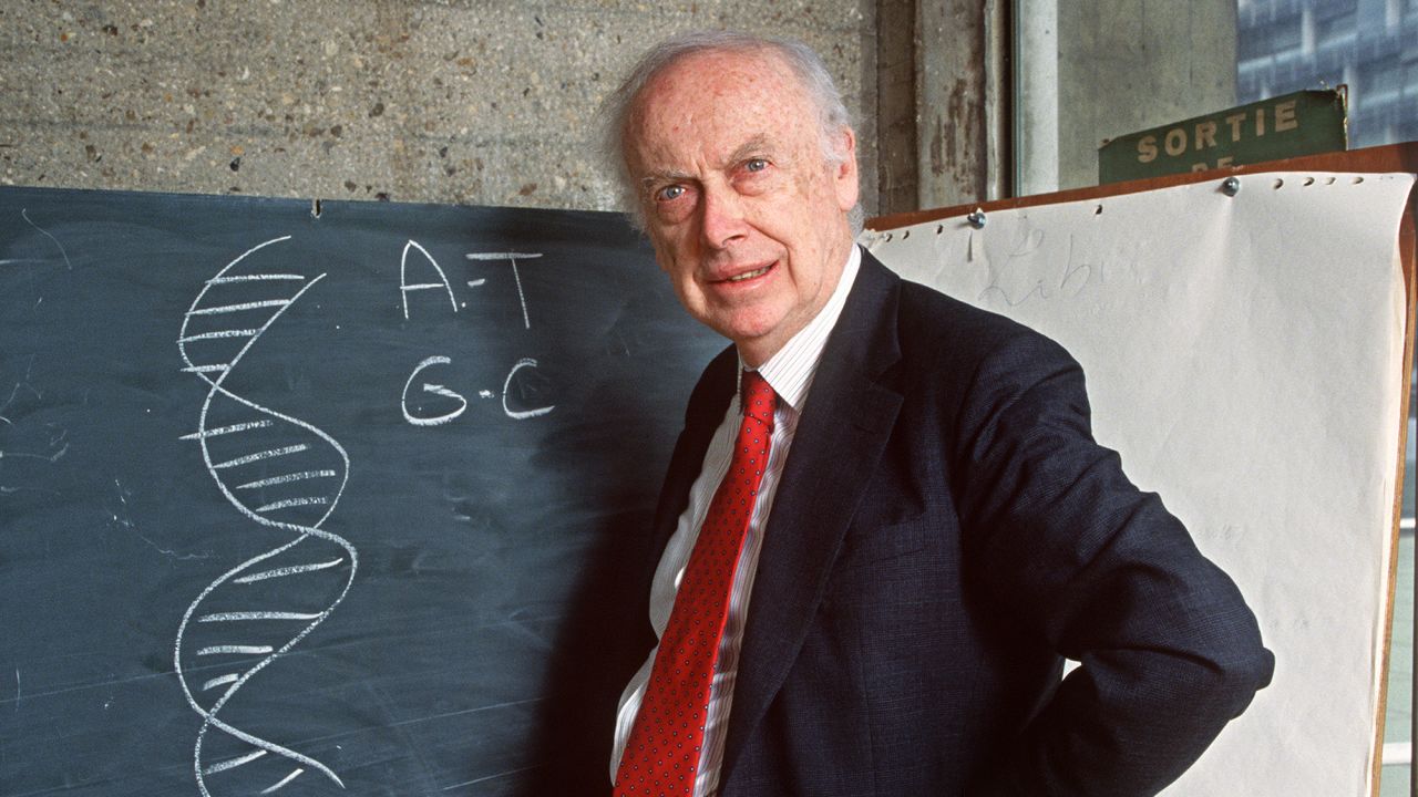 Picture taken 23 April 1993 in Paris of American geneticist James Dewey Watson in front of a blackboard, explaining his work to discover the molecular structure on DNA for which he shared the 1962 Physiology and Medicine Nobel Prize with British Francis Crick and Maurice Wilkins. James Dewey Watson, one of the most important researchers in field of genetics, was born 06 April 1928 in Chicago, Ill. In 1950, Watson joined Cavendish Laboratories where many others important people were trying to determine the makeup of DNA. It was Watson and Crick who made the next big discovery. They proposed that DNA was a winding helix in which pairs of bases held the srands together. This model of DNA double helix became an important item of reserch in the areas of Biochemistry and Molecular Genetics.
