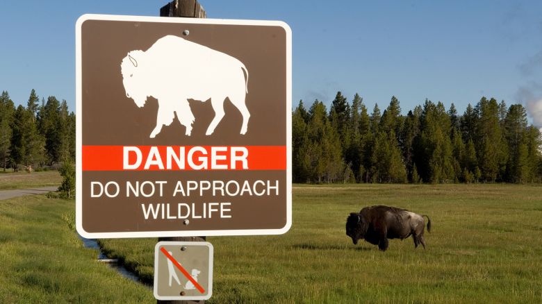 A sign in Yellowstone National Park warns visitors to not approach bison and other wildlife in the park.