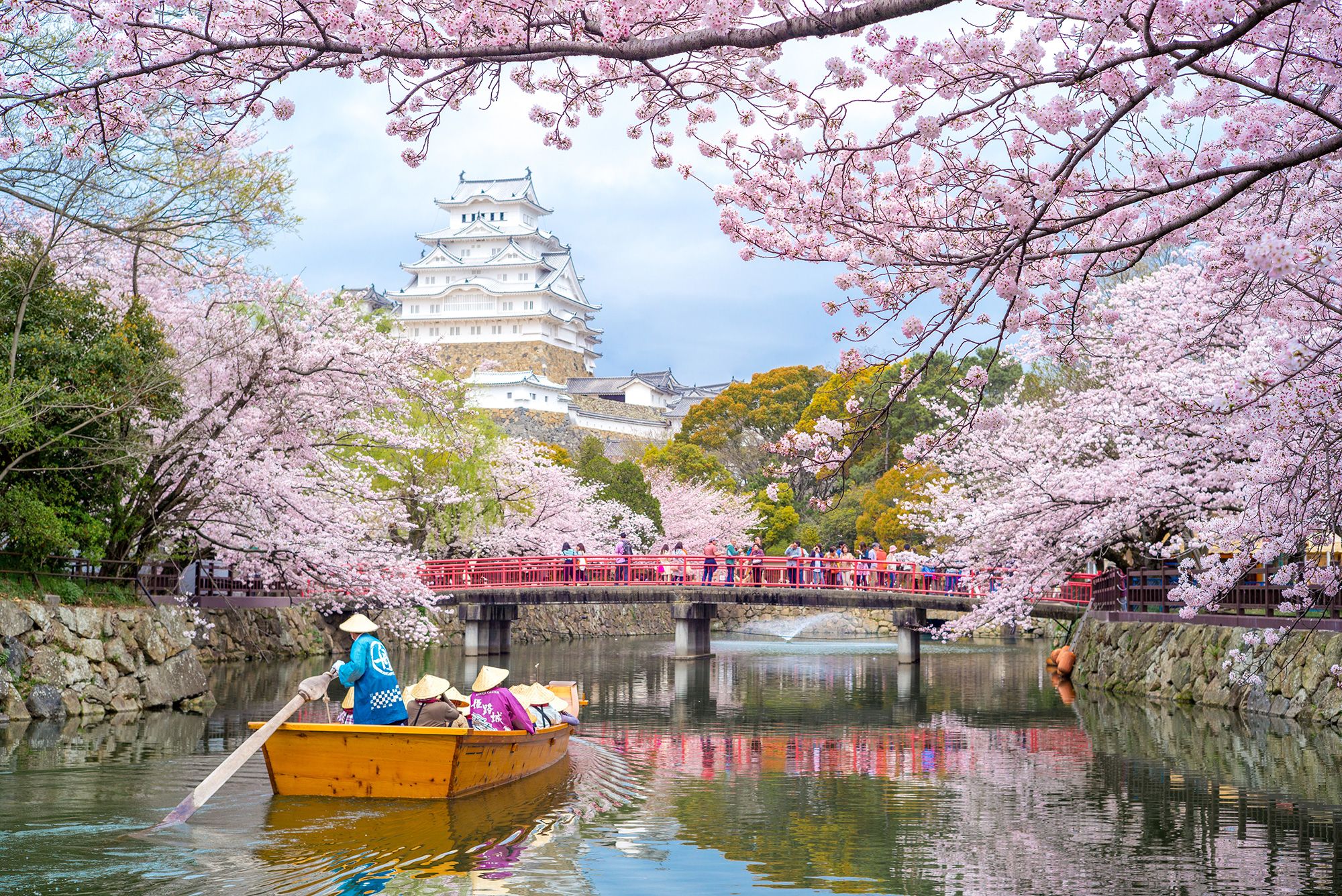 One of the most popular times to visit Japan's Himeji castle is in the spring, during cherry blossom season.