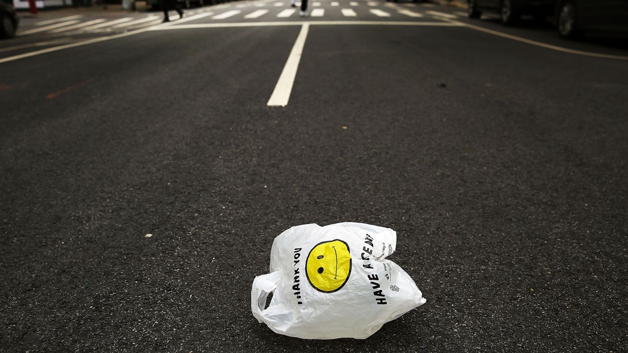 Plastic bags are particularly dangerous because they so easily fly away and enter marine ecosystems, experts said.