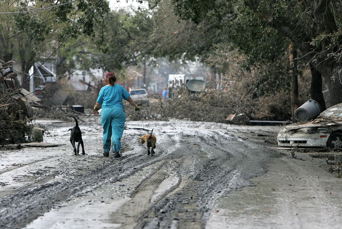 NEW ORLEANS - SEPTEMBER 10: A volunteer walks with two dogs that were found wandering the streets September 10, 2005 in New Orleans, Louisisana. Volunteers have found thousands of pets ranging from dogs and cats to pigs and goats and have taken them to a temporary shelter near New Orleans to be cleaned and fed. (Photo by Justin Sullivan/Getty Images)